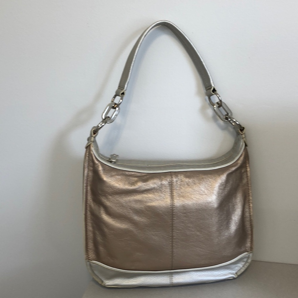 TIGNANELLO METALLIC SILVER / CHAMPAGNE LEATHER BAG
